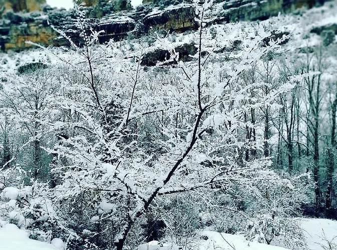 La Milana, Hébergement de vacances